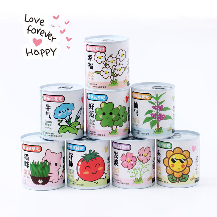 Planting children's canned flowers, creative potted mini plants, fun indoor green plants, office desktop green plants, canned flower potted children's DIY planting small potted plants