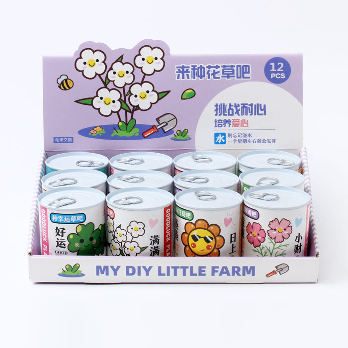 Planting children's canned flowers, creative potted mini plants, fun indoor green plants, office desktop green plants, canned flower potted children's DIY planting small potted plants