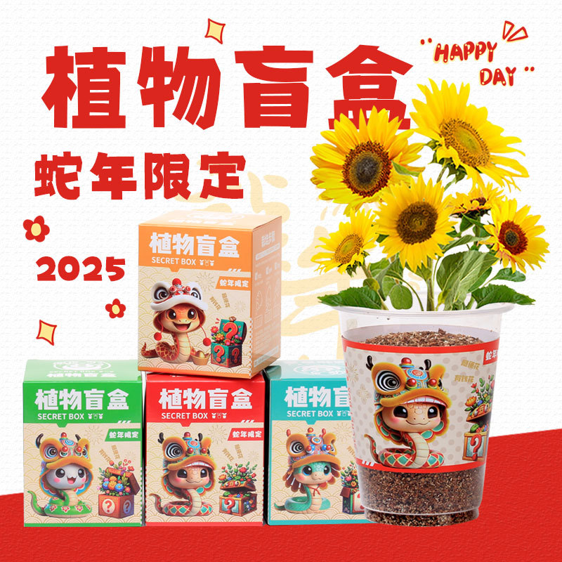 Cartoon plant blind box mini potted plant is the best indoor and outdoor gardening gift, randomly planted plant seeds, desktop green plant gift, and the best gift for children's plant growth observation and sprouting seeds