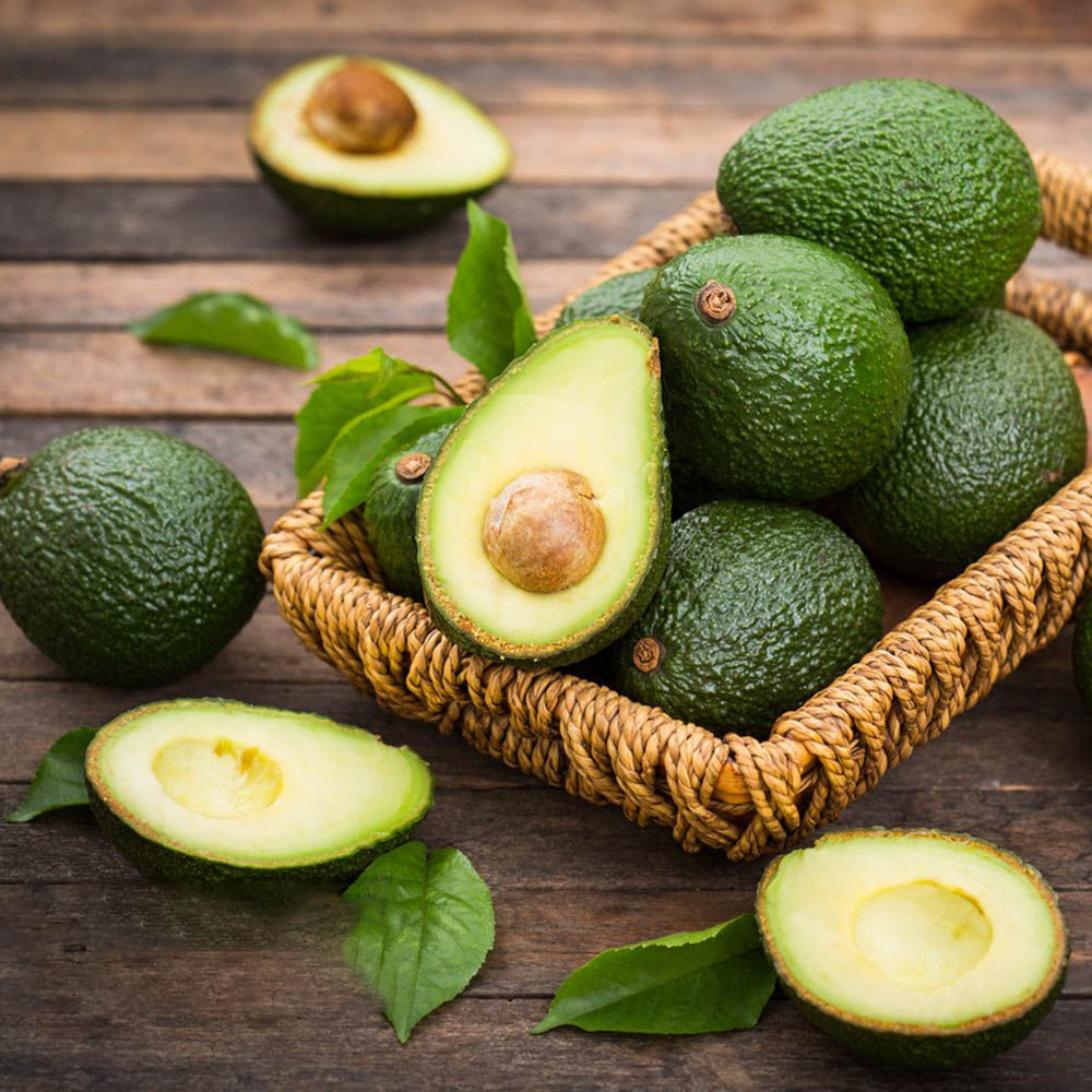 50 Avocado Seeds - High-Quality Fruit Seeds, Perfect for Indoor & Outdoor Use