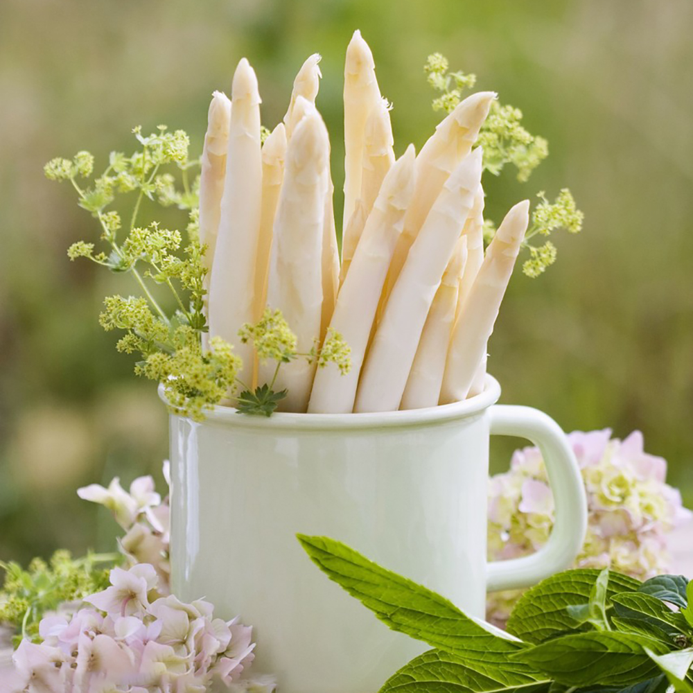 250 Asparagus Seeds - High-Quality Vegetable Seeds, Easy to Plant & Grow