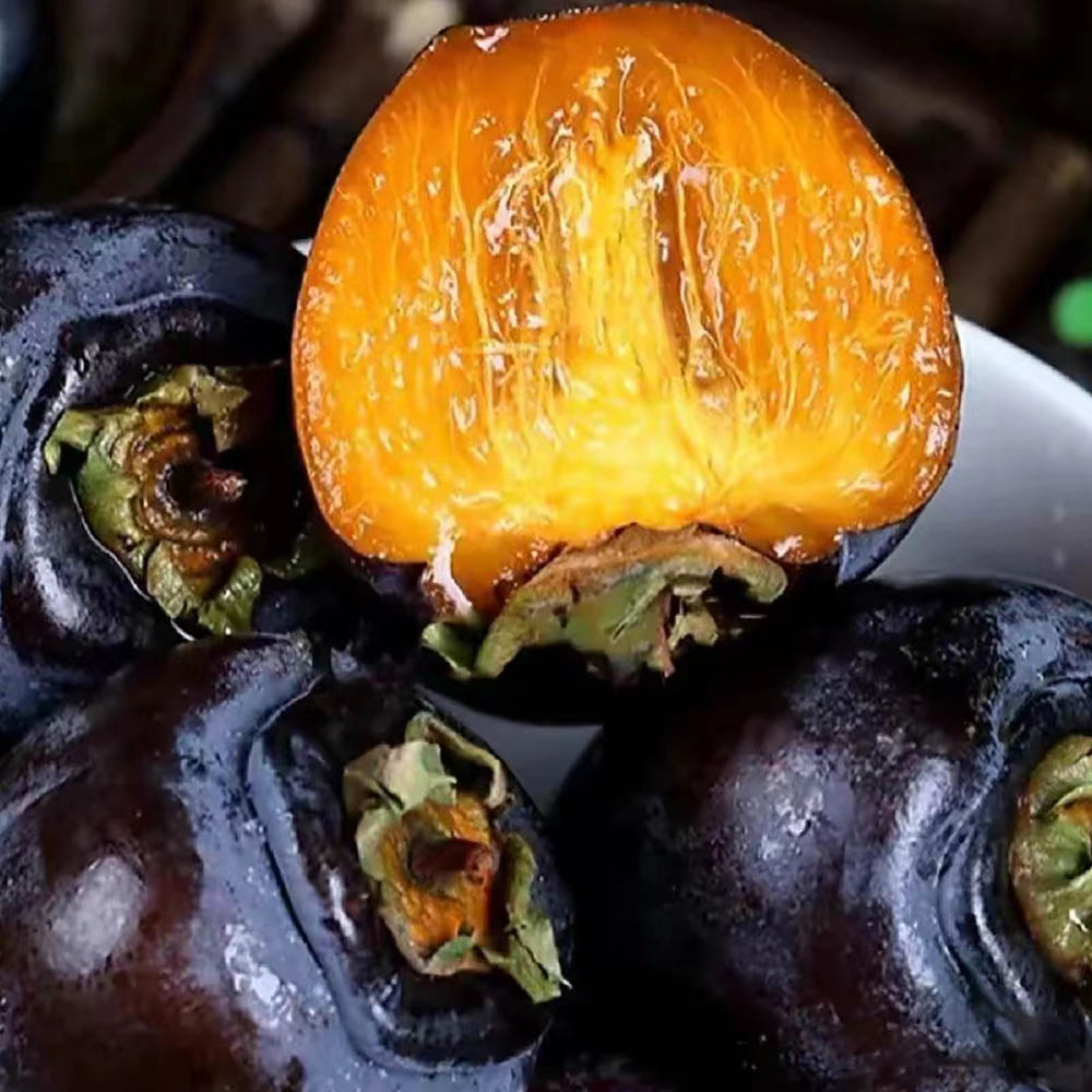 150 Persimmon Seeds - Reliable Germination, Suitable for Home & Outdoor Use