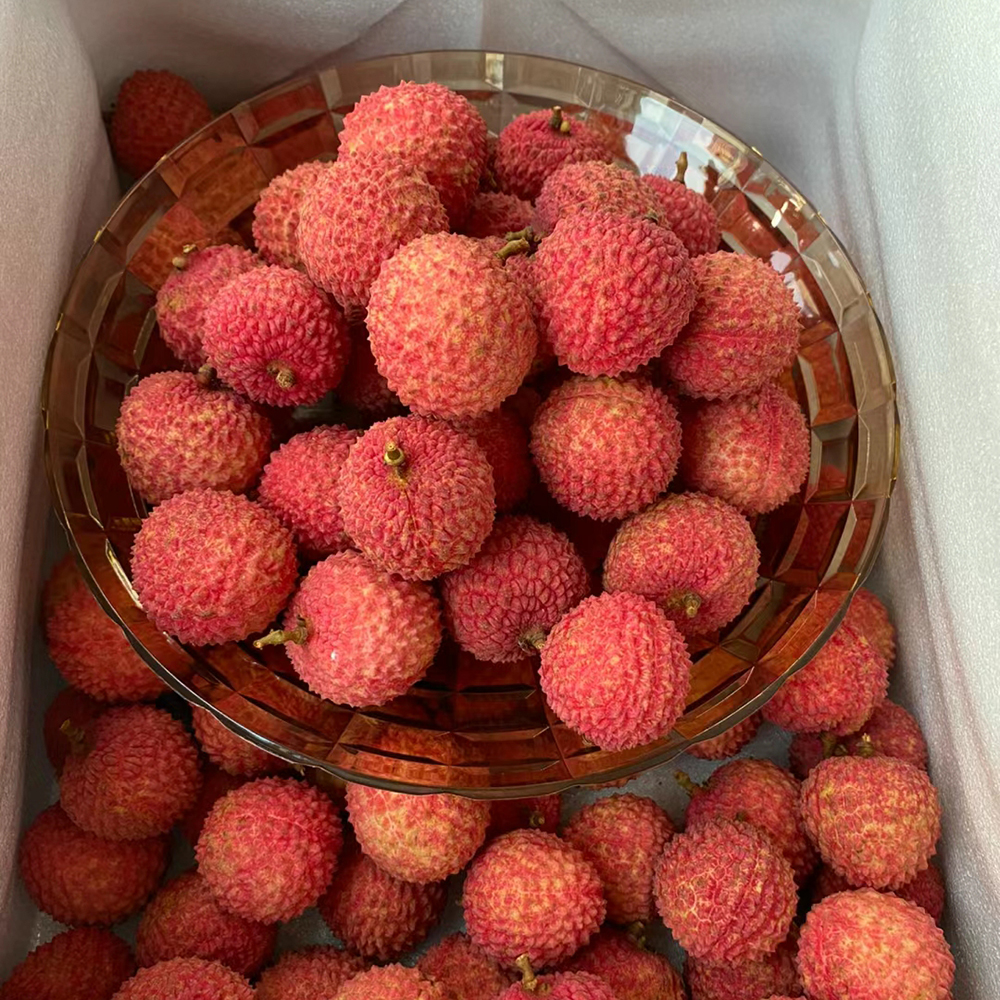 10 Lychee Seeds - Premium Quality for Gardeners, Easy to Plant & Cultivate