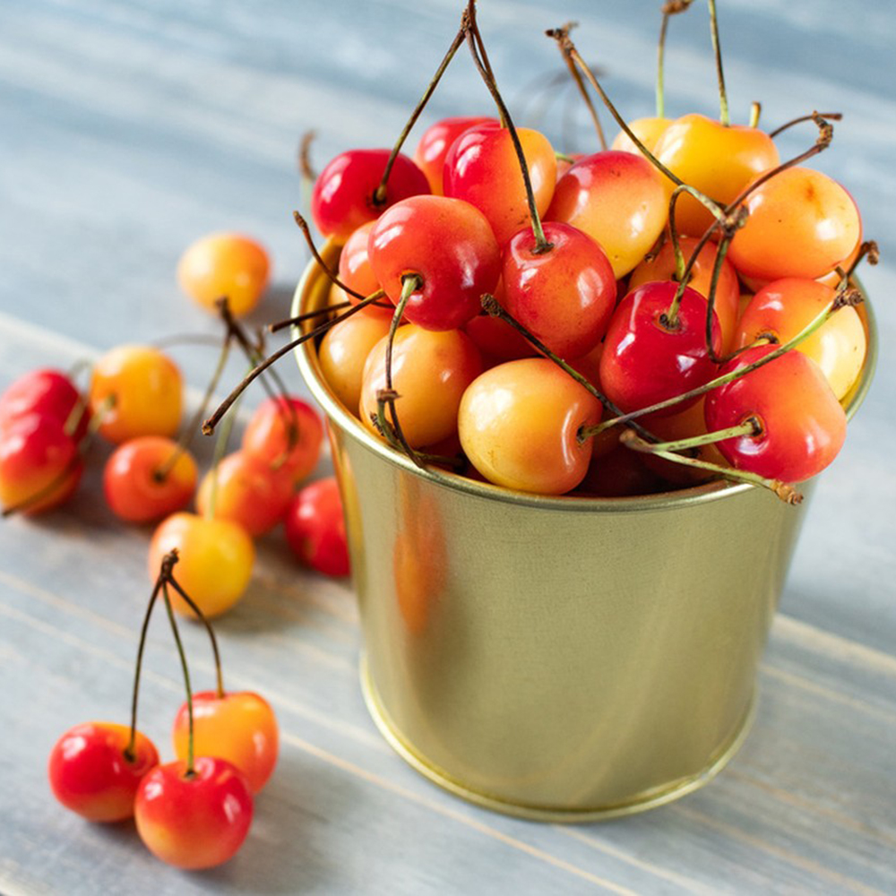 50 Cherry Seeds - High-Quality Fruit Seeds, Perfect for Small Orchard Projects