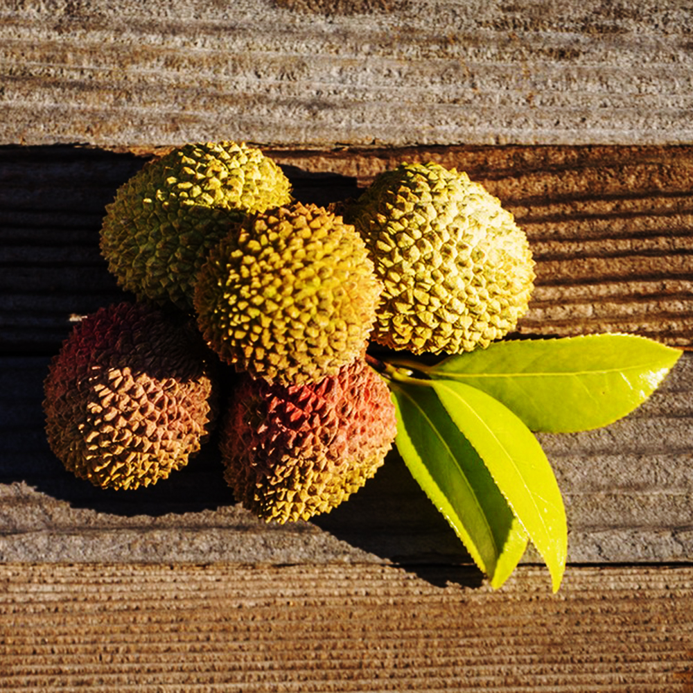 25 Lychee Seeds - Top-Grade for Cultivation, Suitable for Indoor & Outdoor Gardens
