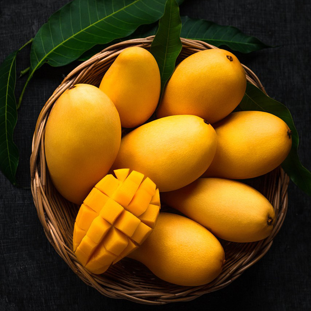12 Mango Seeds - High-Quality for Garden Enthusiasts, Great for Fruit Tree Projects