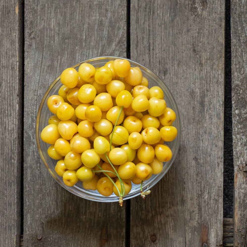 300 Cherry Seeds - Premium Cherry Seeds, Perfect for Bulk Planting & Orchard Expansion