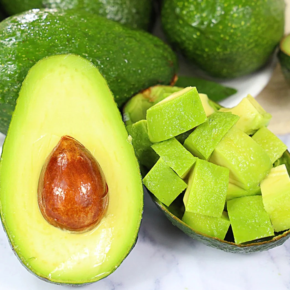 40 Avocado Seeds - Suitable for Home Gardens, Reliable Germination for Growers