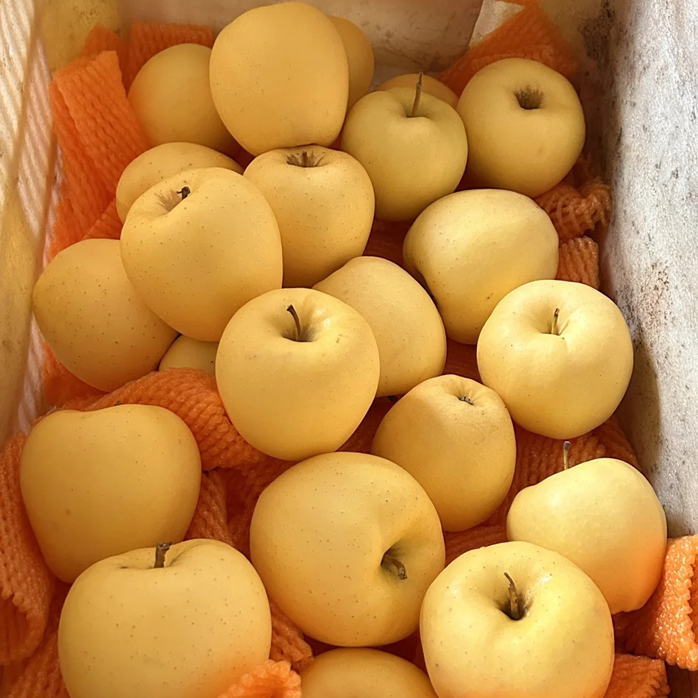 200 Apple Seeds - High-Germination Seeds, Suitable for Home & Small Farms