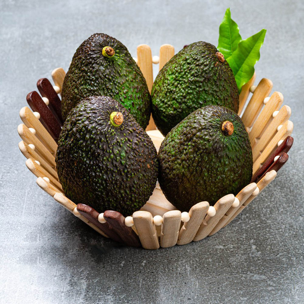 30 Avocado Seeds - Top-Grade for Gardeners, Easy to Plant & Cultivate