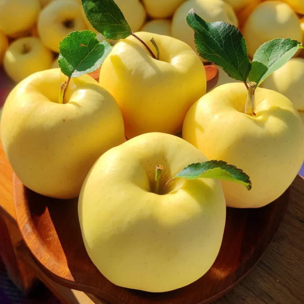 200 Apple Seeds - High-Germination Seeds, Suitable for Home & Small Farms