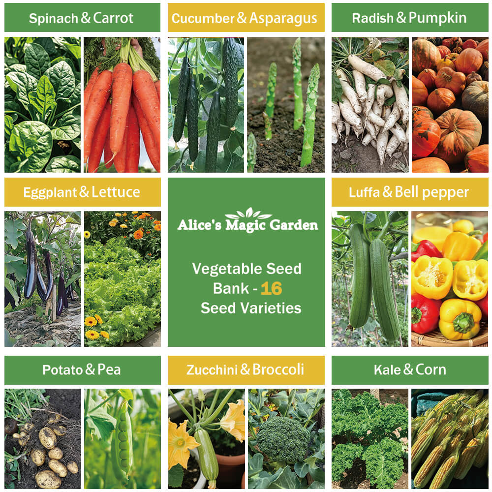 16 Gourmet Garden Vegetable Seeds Variety Pack - Non-GMO Heirloom Vegetables Seeds for Planting Indoor Outdoor
