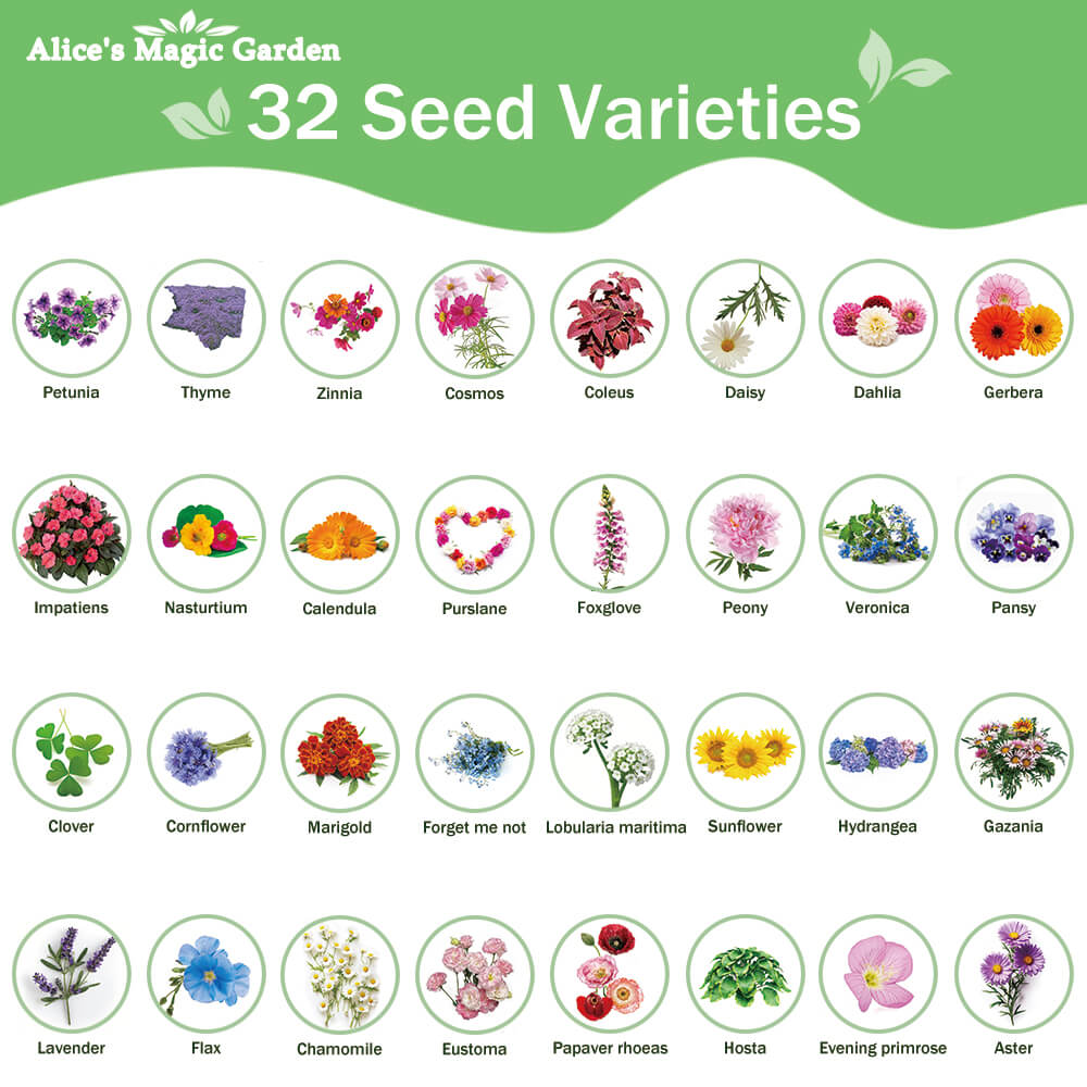Flower Seeds Packets for Planting 32 Individual Varieties Perennial, Annual, Wildflower Seeds for Planting Outdoors for Bees and Butterflies