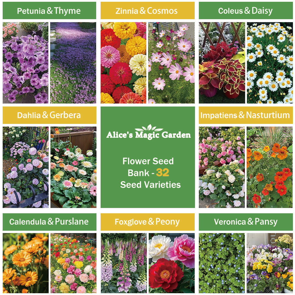 Flower Seeds Packets for Planting 32 Individual Varieties Perennial, Annual, Wildflower Seeds for Planting Outdoors for Bees and Butterflies