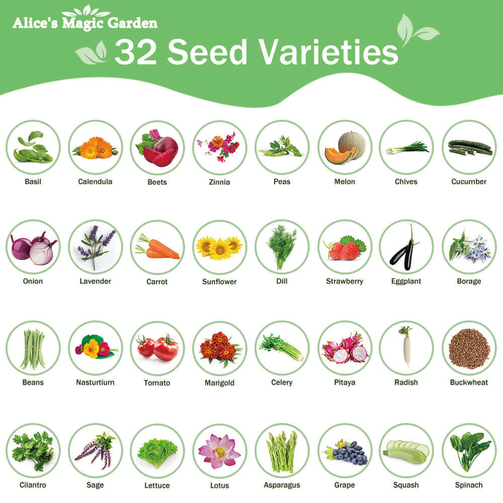 32 seed bank，seeds for planting vegetables and fruits，flowers，herbs，gardening gifts for women