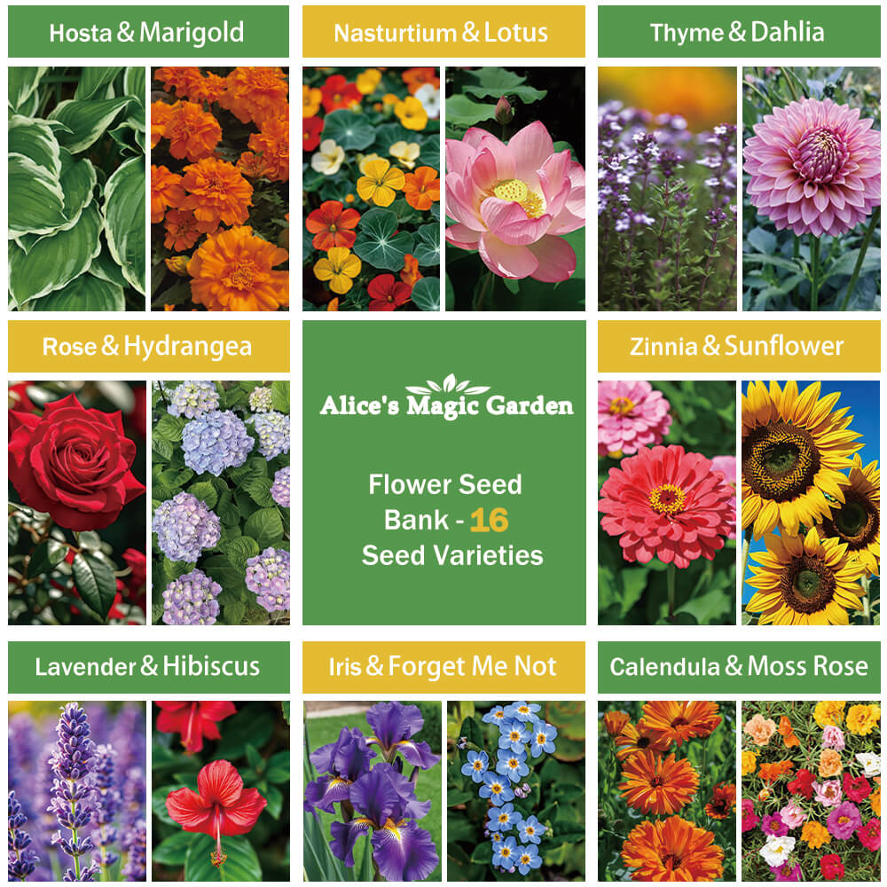Garden seed bank-16 Varieties of Herb, Flower & Vegetable Seeds for Planting-Plant seeds for outdoor