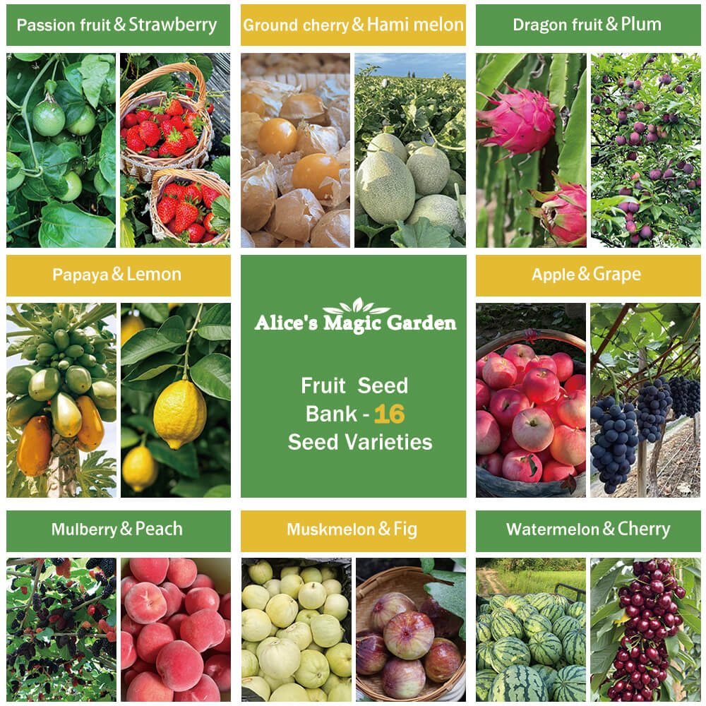 16-Variety Mixed Fruit Seed Collection for Outdoor Planting-Non-GMO Heirloom Fruit Seeds in Individual Packets