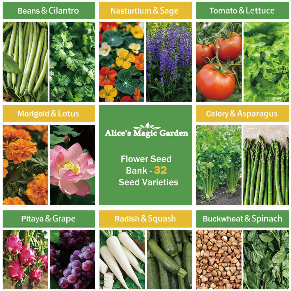 32 seed bank，seeds for planting vegetables and fruits，flowers，herbs，gardening gifts for women