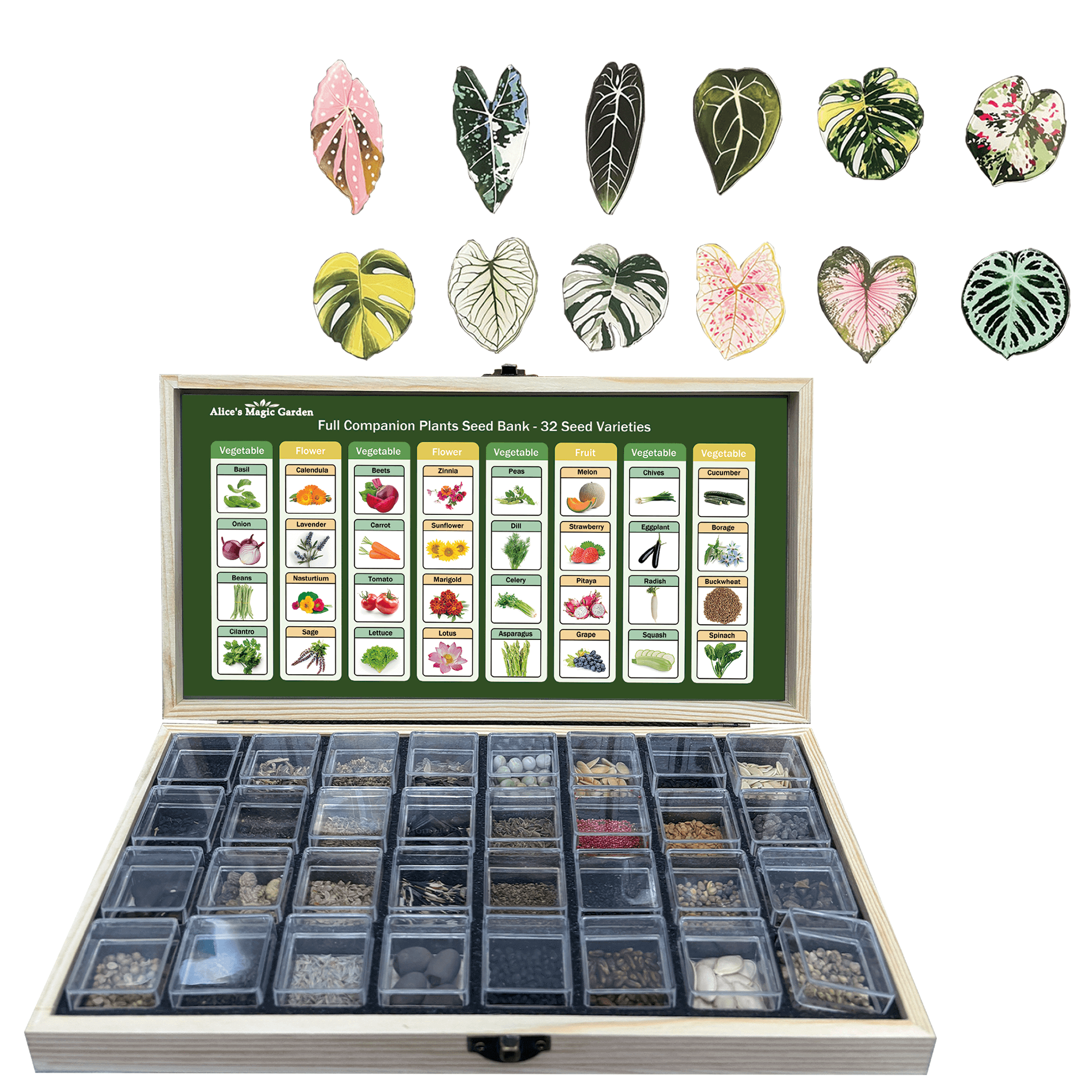 32 seed bank，seeds for planting vegetables and fruits，flowers，herbs，gardening gifts for women