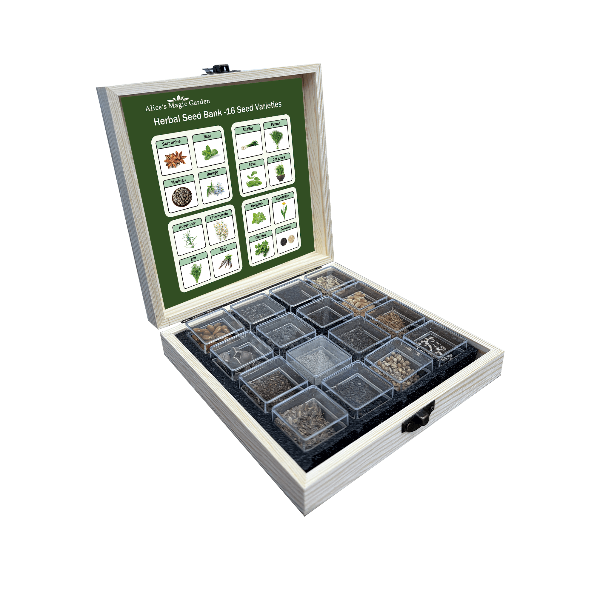 16 Most Popular Herb Seeds Variety Pack - Non-GMO Heirloom Seeds for Planting Herbs in Individual Seed Packets for Hydroponic, Indoor & Outdoor Gardening