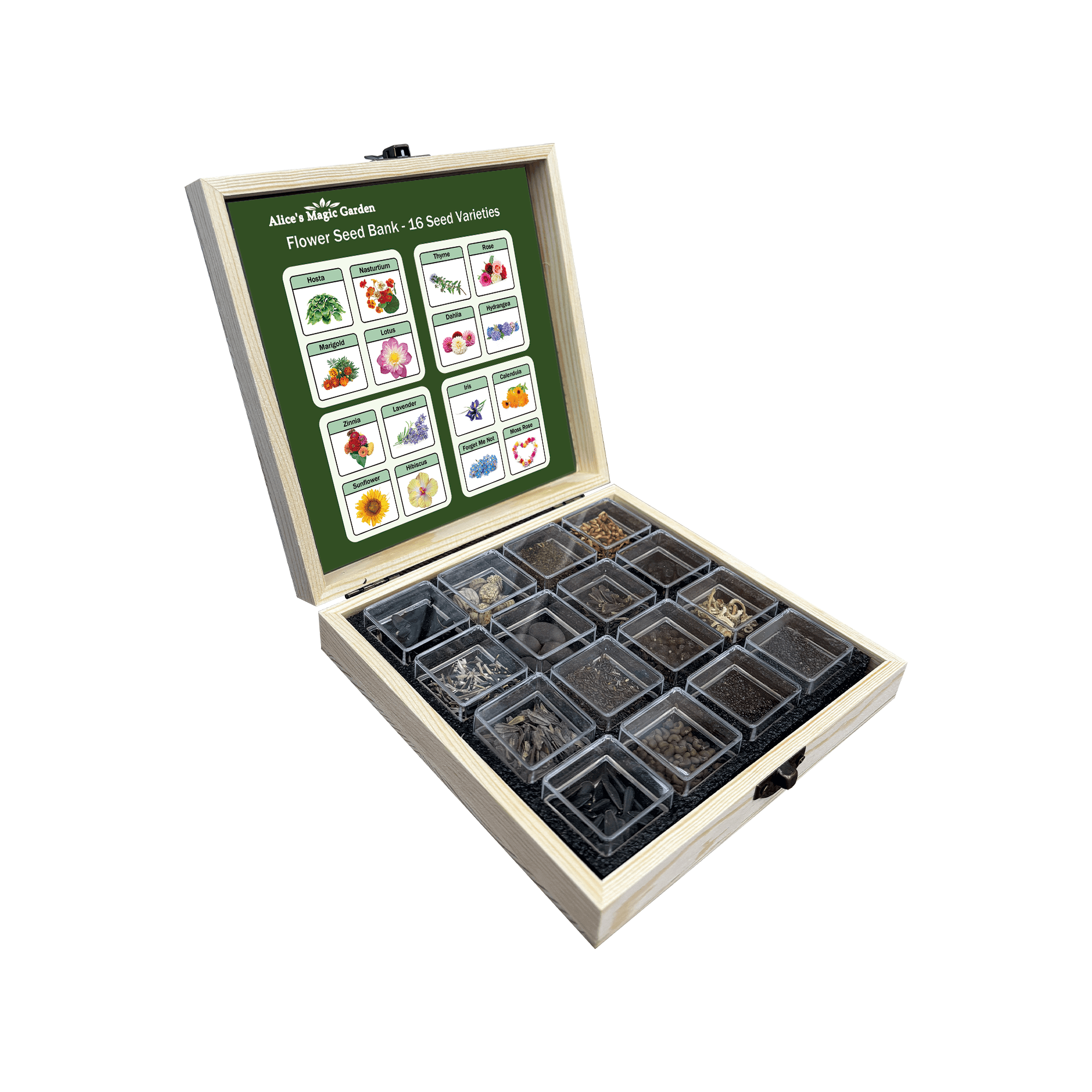 16 and 32 Varieties of Garden Seed Options in Variety Packs - Non - GMO Heirloom Seeds for Planting