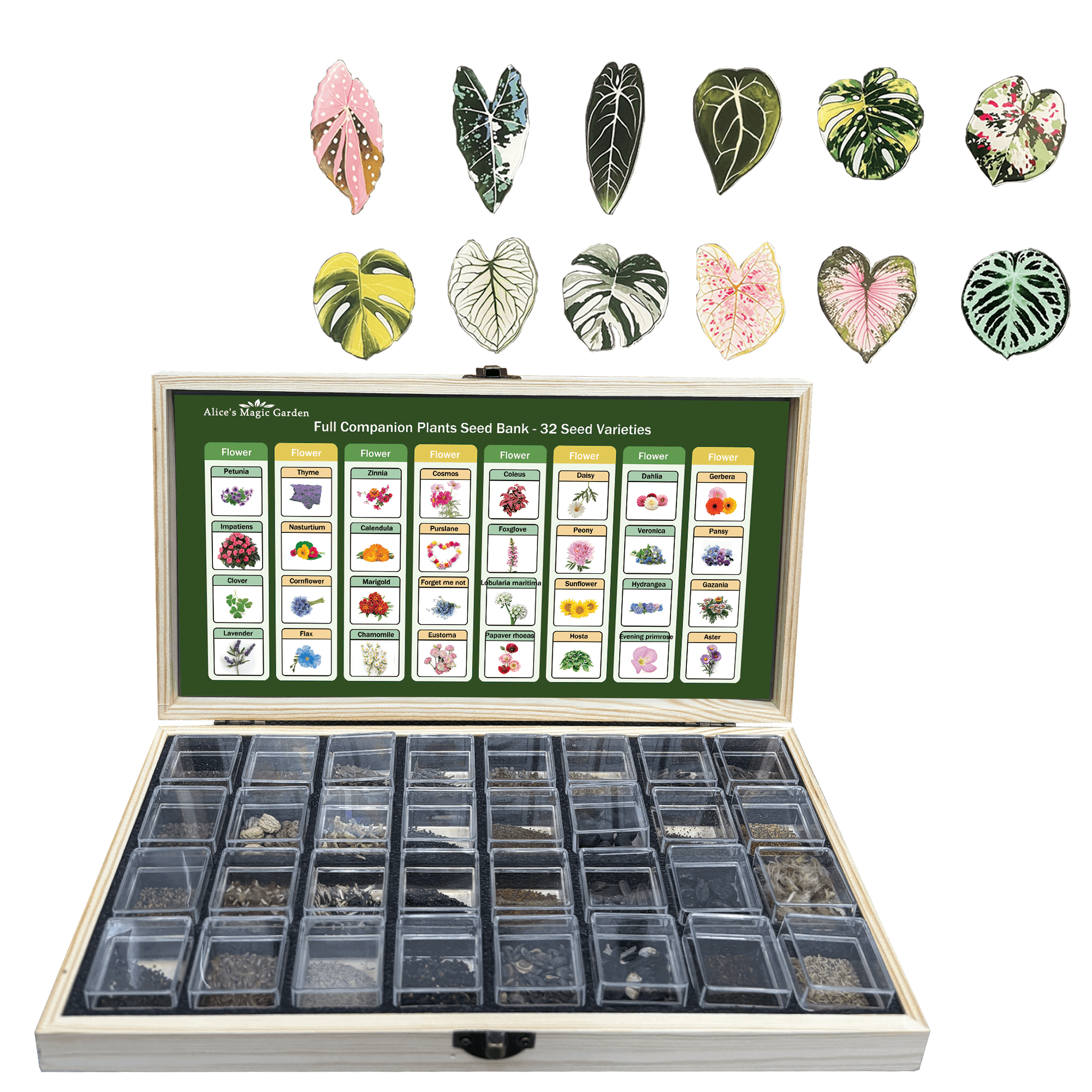 Flower Seeds Packets for Planting 32 Individual Varieties Perennial, Annual, Wildflower Seeds for Planting Outdoors for Bees and Butterflies