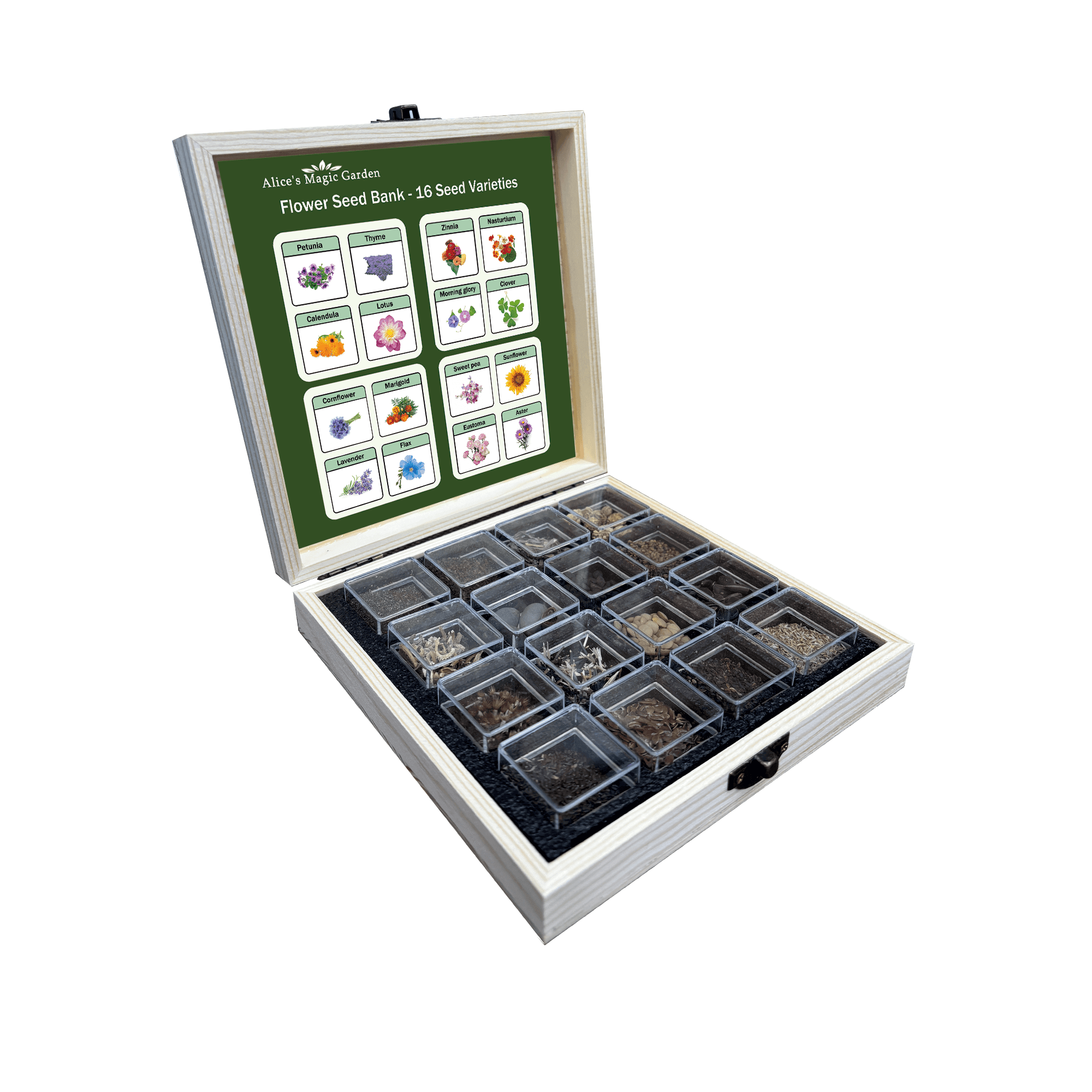 16 Edible Flower Seeds Variety Pack for Indoor Outdoor Gardening -  Non-GMO Heirloom Flower Seeds