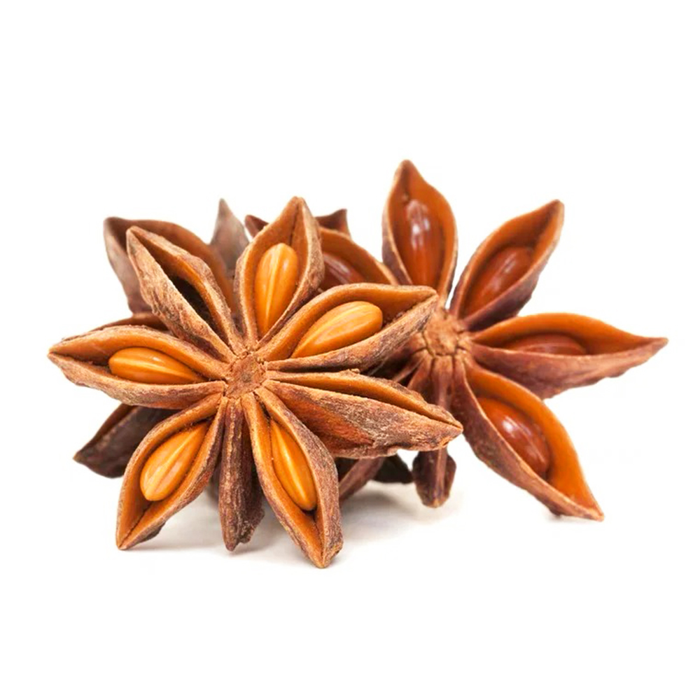 10 Star Anise Seeds - Premium Planting Seeds