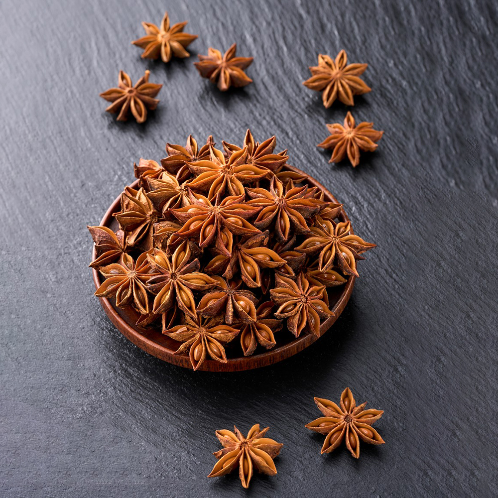 10 Star Anise Seeds - Premium Planting Seeds
