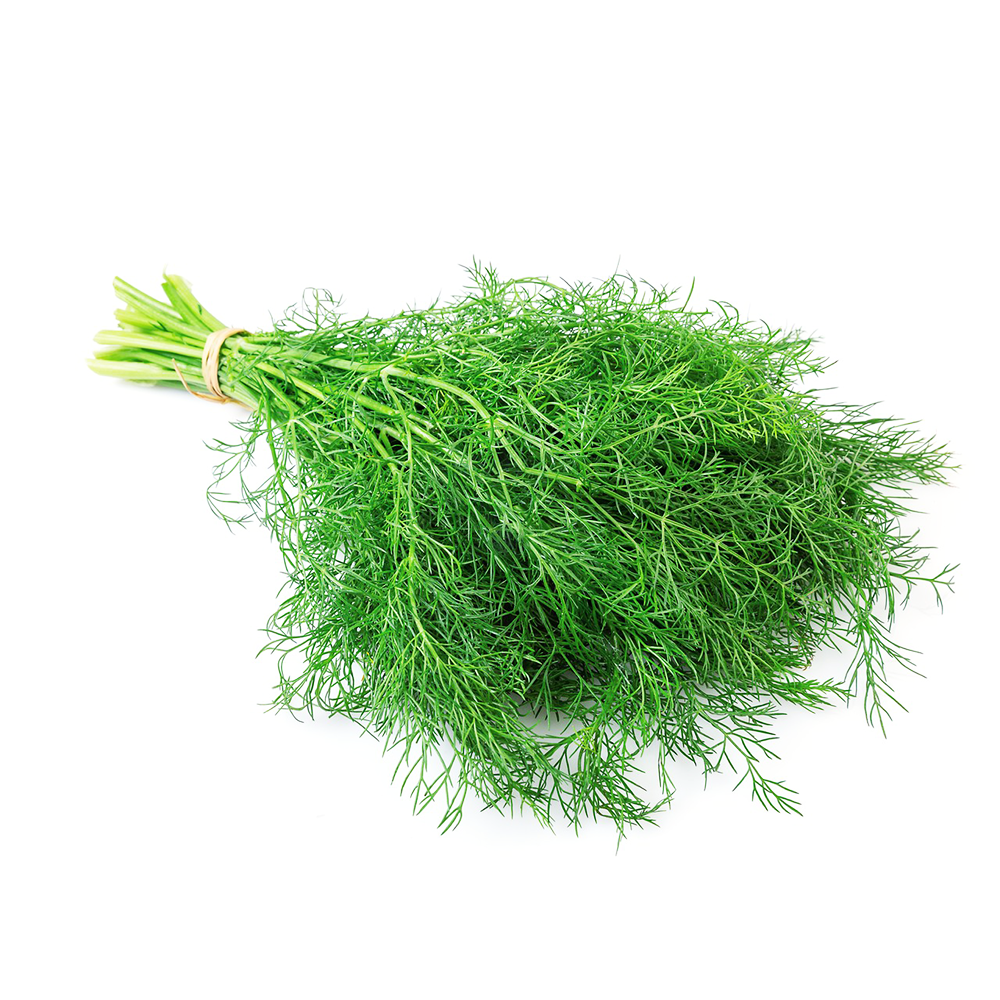 Fennel Seeds, 80 Seeds Pack