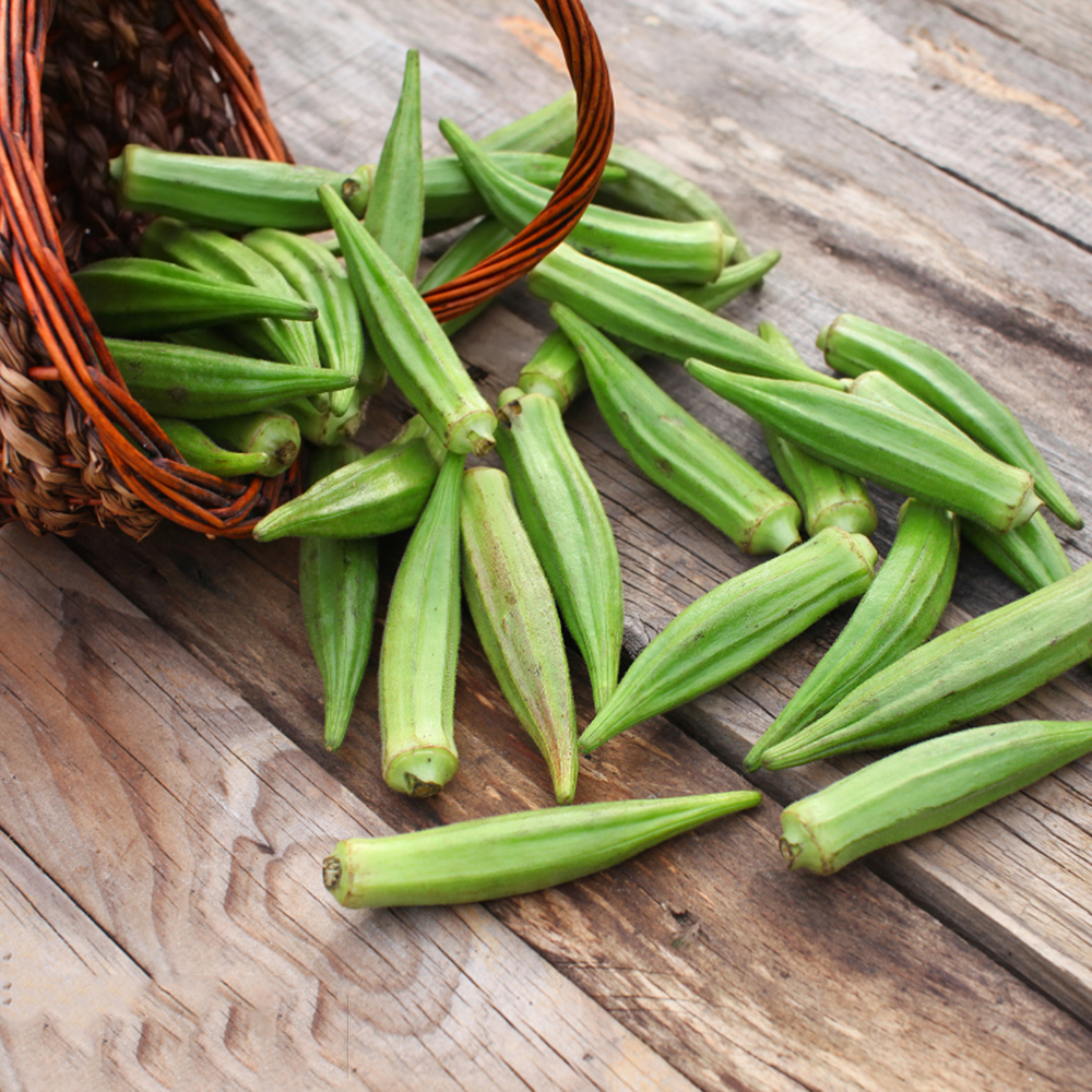 100pc Okra Seeds for Planting Non GMO Heirloom Seeds Fresh Garden Seed，Non-GMO – Perfect for Farm & Vegetable Gardening – High Germination Rate, Ideal for Farm, Home & Gardening