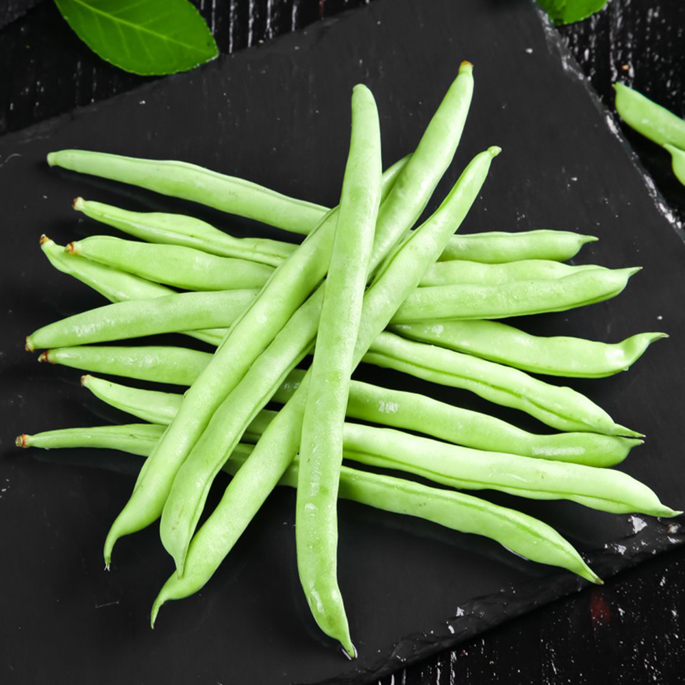 250pc Bush green beans seeds for Planting - Non-GMO Heirloom Seed -  Variety to Plant an Outdoor Home Vegetable Garden – High Germination Rate, Ideal for Farm, Home & Gardening