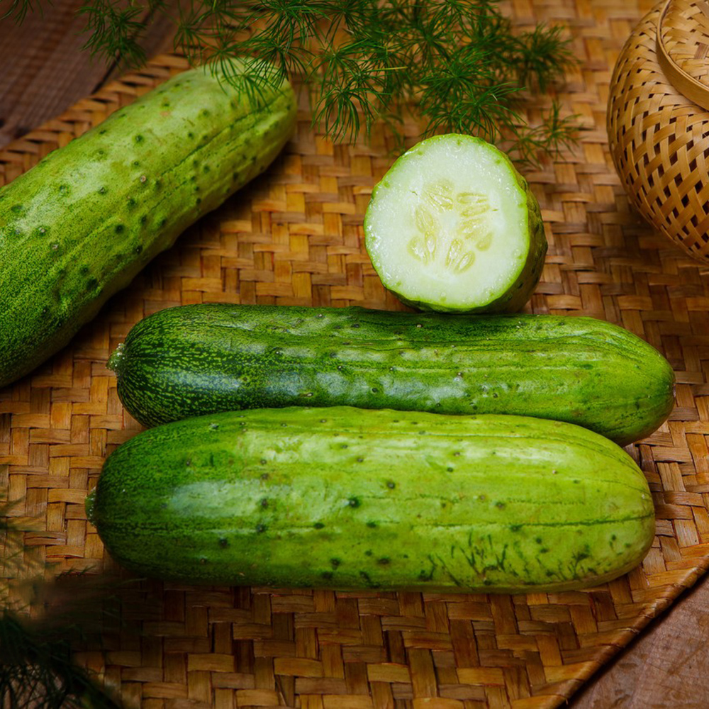 50pc Cucumber Seeds for Planting –Grow Crisp, Sweet Cucumbers with a Long Harvest Window, Easy to Grow,Perfect for The Small Garden.