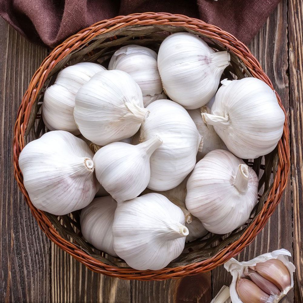 Garlic Bulb (6 Pack)，Fresh  Garlic Bulb for Planting and Growing Your OWN Garlic OR Eating，Non GMO