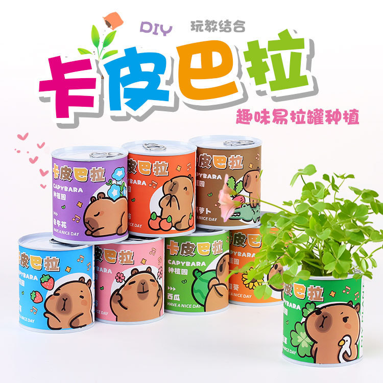 Planting children's canned flowers, creative potted mini plants, fun indoor green plants, office desktop green plants, canned flower potted children's DIY planting small potted plants（Kapibala）