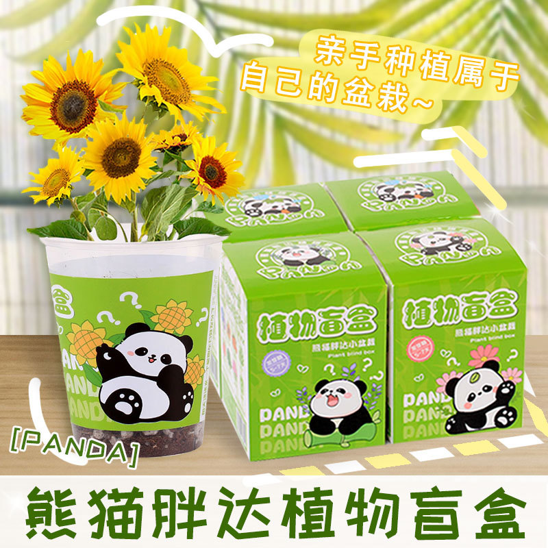 Cartoon plant blind box mini potted plant is the best indoor and outdoor gardening gift, randomly planted plant seeds, desktop green plant gift, and the best gift for children's plant growth observation and sprouting seeds