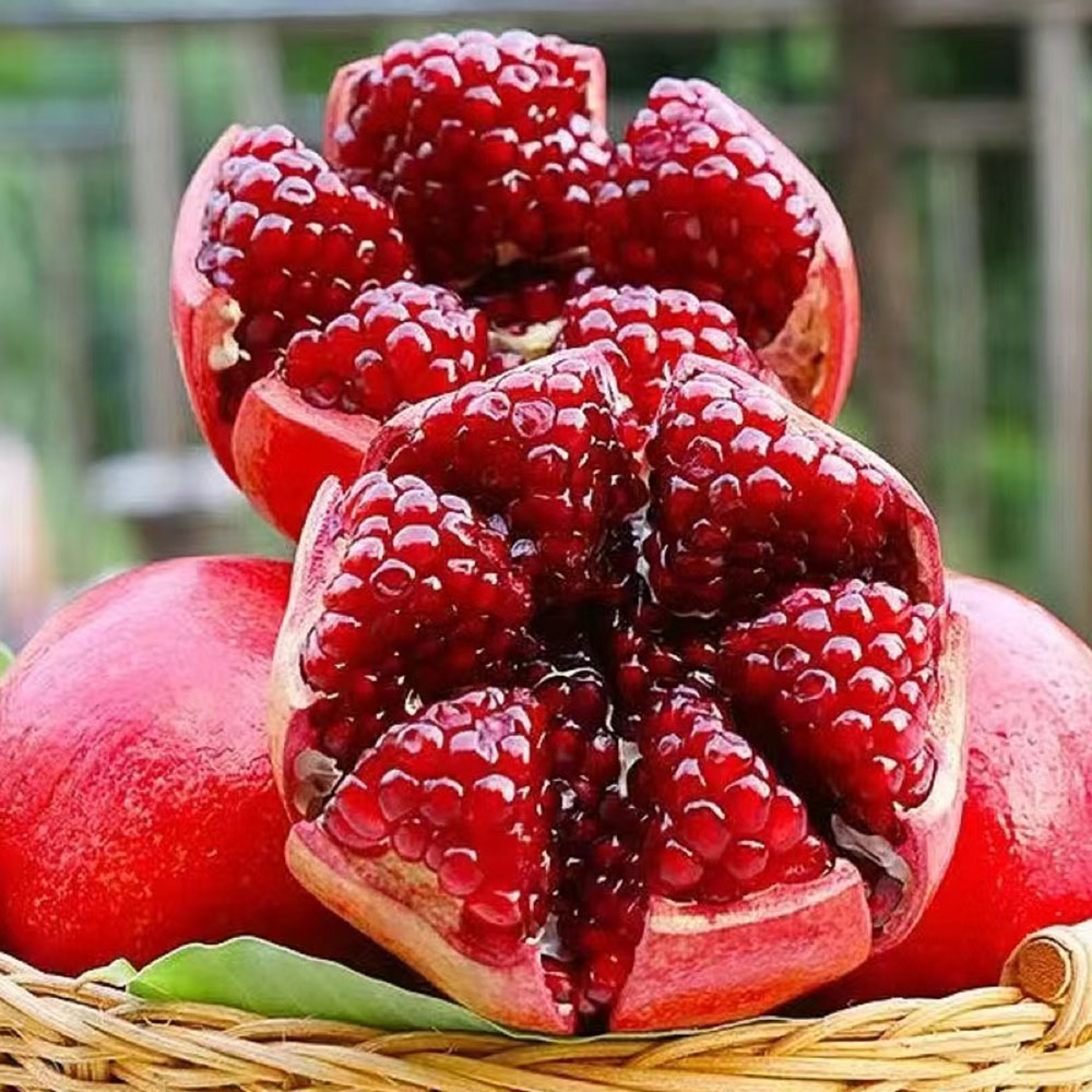 200 Pomegranate Seeds - Reliable Germination, Suitable for Home & Outdoor Use