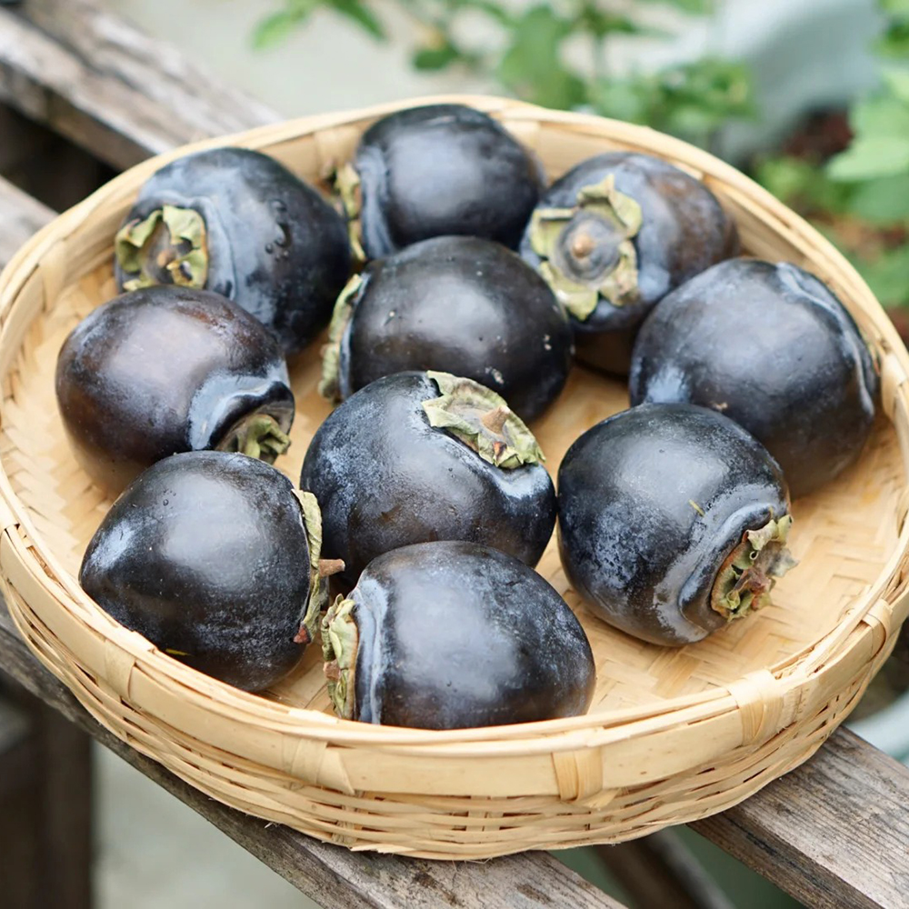 100 Persimmon Seeds - High-Quality Tree Seeds, Perfect for Small Garden Projects