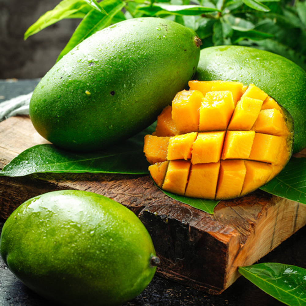 18 Mango Seeds - Premium Mango Seeds, Easy to Grow for Home Gardeners