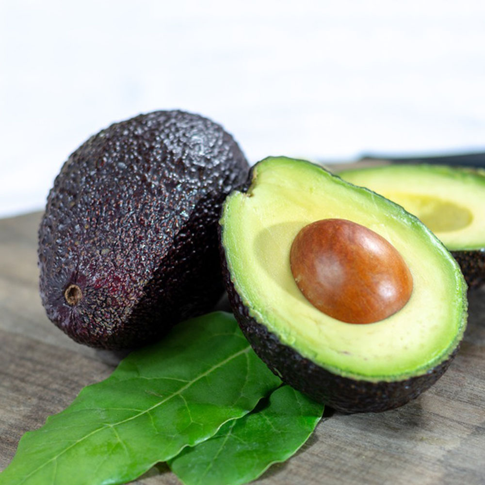 10 Avocado Seeds - Premium Quality for Home Gardening, High Germination Potential