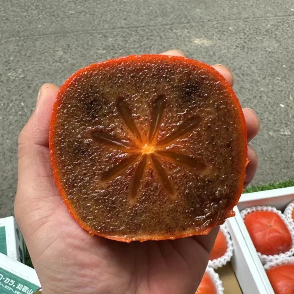 80 Persimmon Seeds - Top-Grade for Gardeners, Easy to Plant & Cultivate