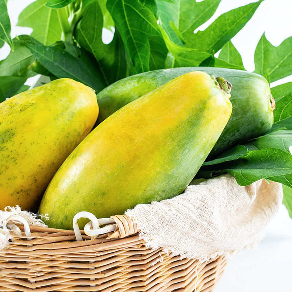 80 Papaya Seeds - Premium Papaya Seeds, Great for Large-Scale Gardening Projects