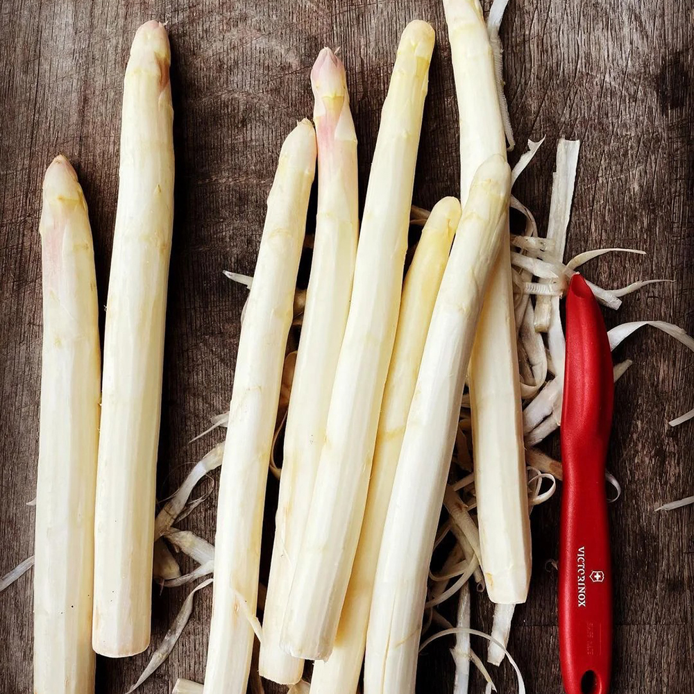 300 Asparagus Seeds - Suitable for Home Gardens, Reliable Germination for Growers