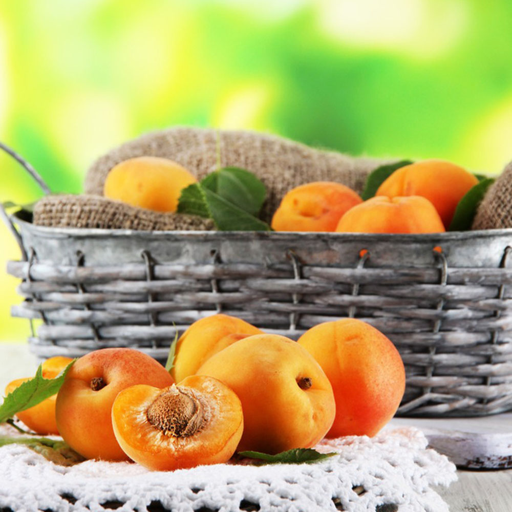 10 Apricot Seeds - Top-Grade Tree Seeds, Easy to Plant for Garden Enthusiasts