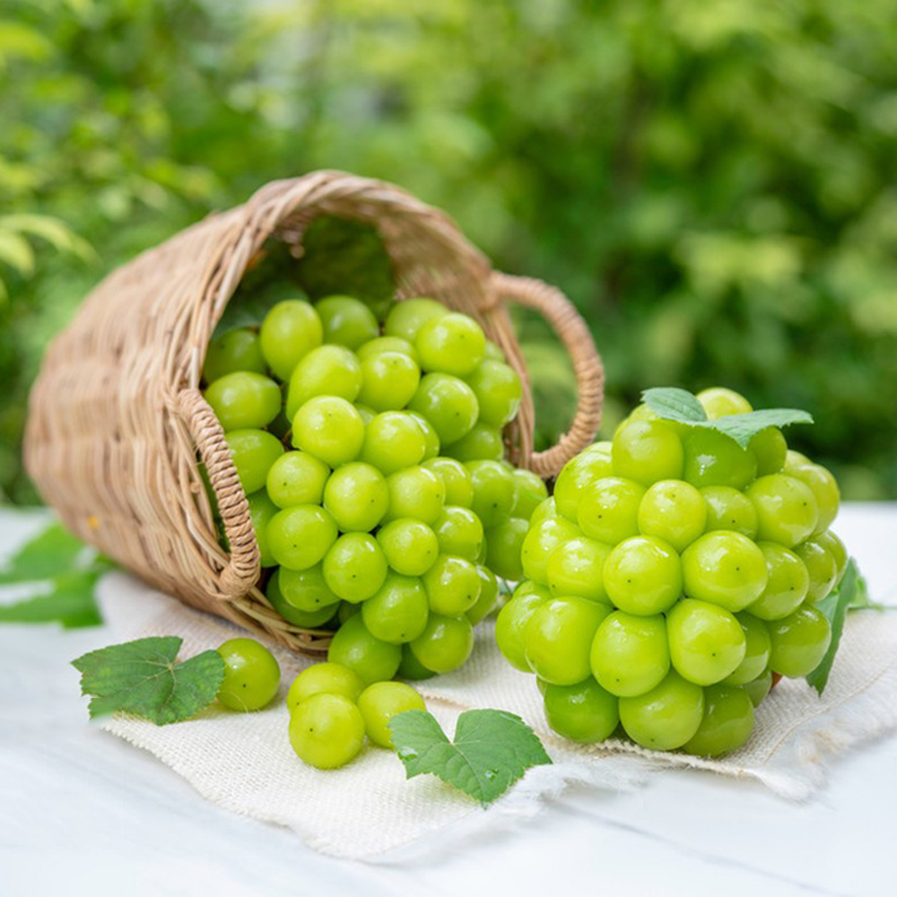 150 Grape Seeds - Top-Grade for Gardeners, Easy to Plant & Cultivate