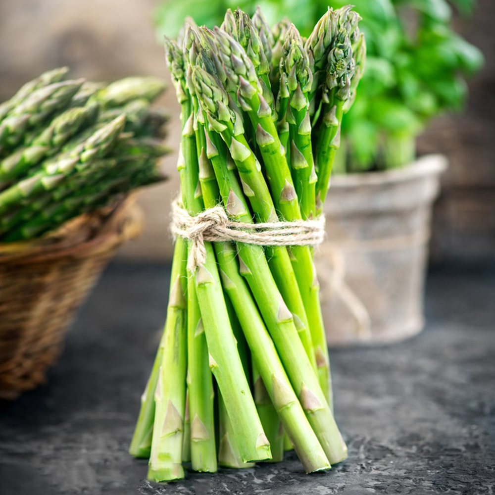 100 Asparagus Seeds - Premium Quality for Home Gardens, High Germination Rate