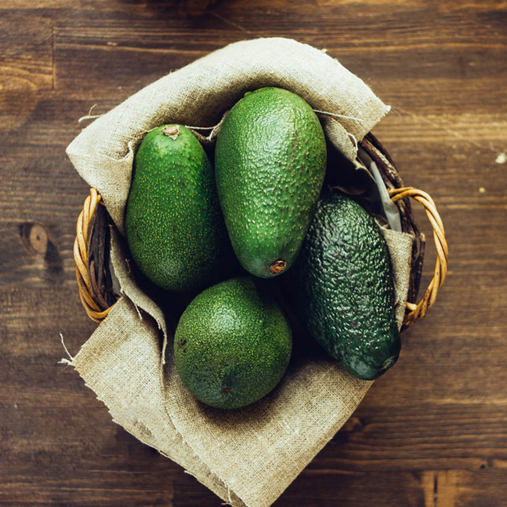 40 Avocado Seeds - Suitable for Home Gardens, Reliable Germination for Growers