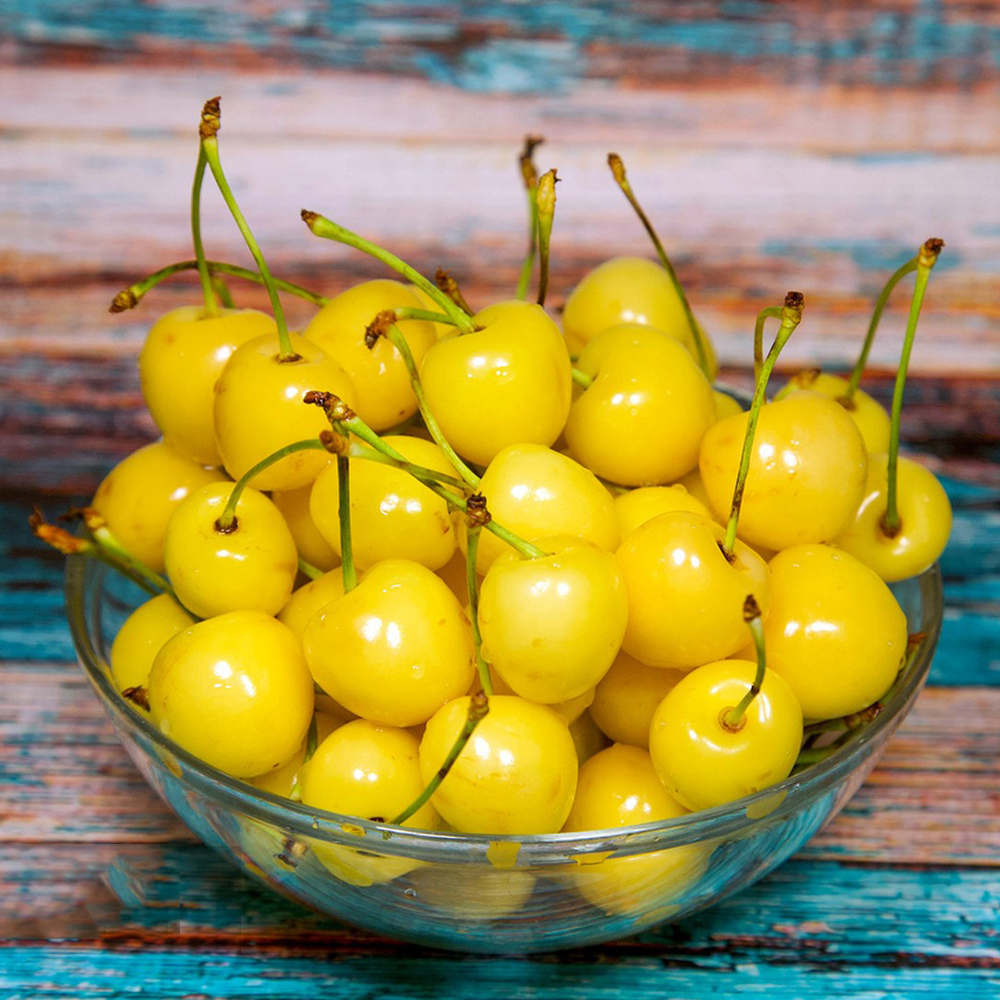 20 Cherry Seeds - Fresh Viable Seeds, Ideal for Backyard Gardening & Fruit Growing