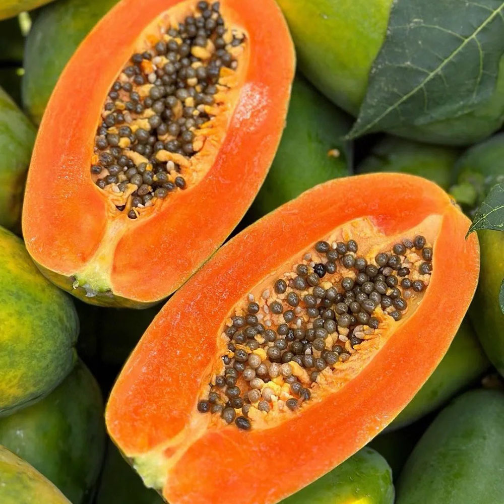 50 Papaya Seeds - High-Quality Fruit Seeds, Perfect for Garden Enthusiasts