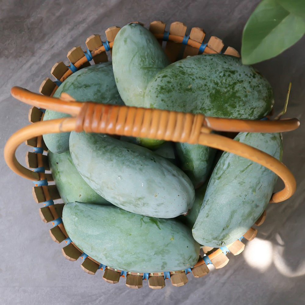 15 Mango Seeds - Fresh Viable Seeds, Ideal for Backyard Fruit Gardens